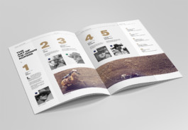 ProRodeo Publication Spread