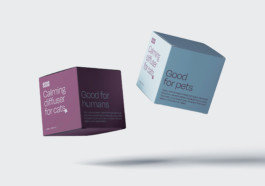 Charles-Antoine Perrault