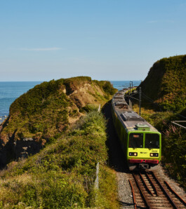 Charles-Antoine Perrault