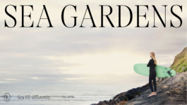 Charles-Antoine Perrault