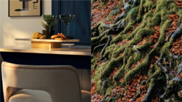 Charles-Antoine Perrault