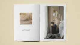 Charles-Antoine Perrault