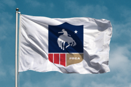 Charles-Antoine Perrault